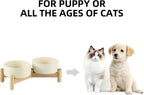 Havniva Elevated Dog Bowls Ceramic Dog Bowls with Stand, Dog Food Bowl | 5.1” Raised Dog Bowls with Non-Slip Wood Stand, Dog Food and Water Bowl Set, Double Dog Feeding Bowls for Small Dogs