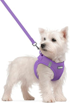 rabbitgoo Dog Harness Small Sized and Leash Set, Step-in Puppy Pet Vest | Light, Soft, Breathable Air Mesh, Easy on and Remove with Hook & Loop, Secure Reflective for Walking, Purple S