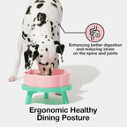 VETRESKA Elevated Dog Bowls Large, 64 oz Ceramic Raised Dog Bowl | Flower-Shaped Food Water Bowl with Bamboo Stand, Pet Feeding Dish Bowls for Medium/Large Dogs and Cats