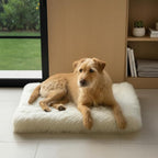 Faux Fur Orthopedic Rectangular Dog Bed, Memory Foam, White Medium 35"x23" | Plush Sheepskin Style Furry Rug, Calming for Senior and Large Dogs, Washable Waterproof Cover, Fits Crates and Floors