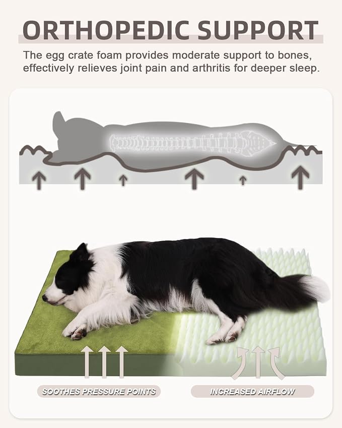 KSIIA Orthopedic Dog Bed for Large Dogs with Waterproof Lining, Green,35x22 | Deluxe Soft Plush Dog Crate Bed, Washable Pet Mat with Removable Cover & Egg Crate Foam for Large Dogs Sleeping & Relaxing
