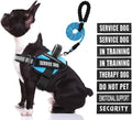 Service Dog Harness (Medium, Light Blue) with Reflective Strips, Leash, and 10 Patches, for Dog Training and Walking