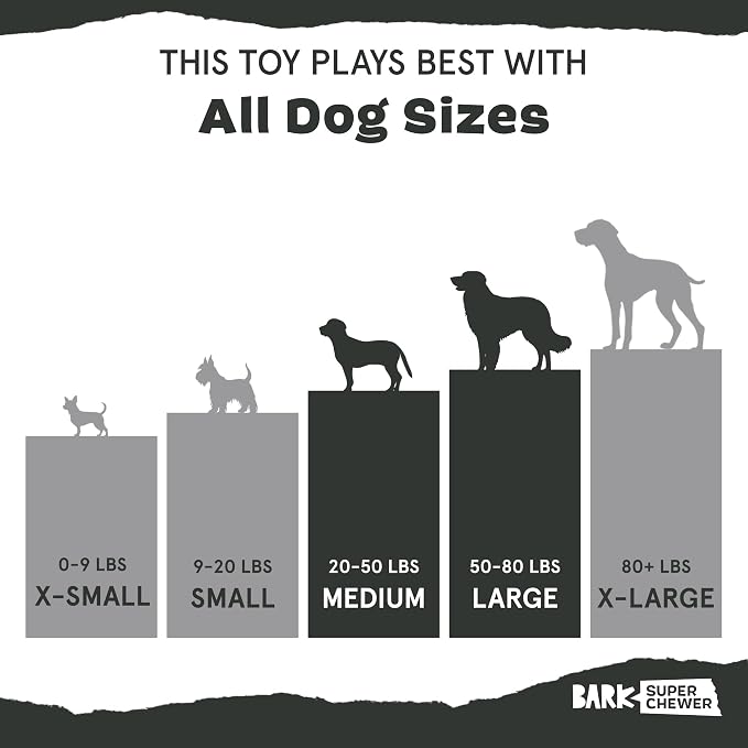 Barkbox Super Chewer Tough Dog Chew Toys for Aggressive Chewers, Dental Stimulating (Radius - Large) | Durable Dog Toy for Aggressive Chewers - Vanilla Scented Chew
