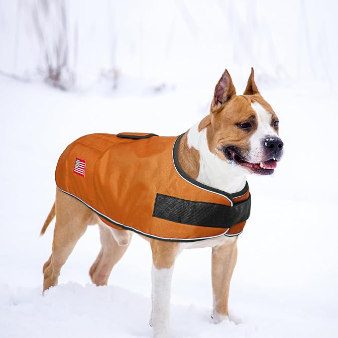 BEAUTYZOO Dog Winter Coat for Large Dogs Waterproof, Warm Reflective Great Dane Oxford Canvas Jacket, Fleece Dog Cold Weather Coats Windproof for Female Male Dogs, Orange L
