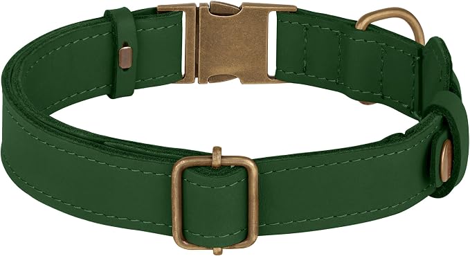 AirTag Dog Collar - Genuine Leather Dog Collar with Apple AirTag Holder and Metal Buckle - Smart GPS Tracking Pet Collars (Dark Green, M, 14"-18" Neck Fit)