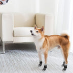 SCENEREAL Anti Slip Dog Sock to Prevent Licking Paws for Hardwood Floors, Boots & Paw Protector Shoes for Hot/Cold Pavement with Grippers, Double Sides Grips for Small Medium Large Senior Dogs