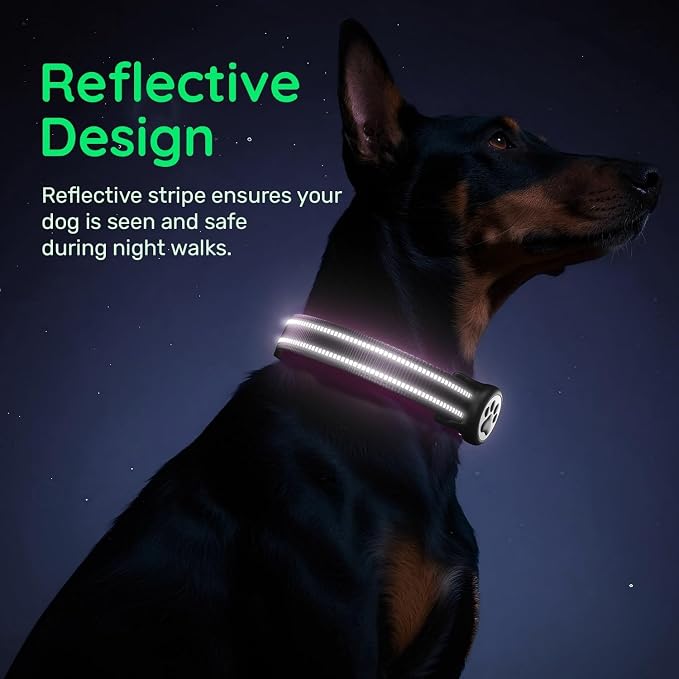 Airtag Dog Collar, Reflective Ultra-Durable Nylon Padded with QR Buckle & IP68 Waterproof Air Tag Holder Compatible for Apple AirTag, Comfortable for Small Medium Large Dogs (Purple,XL)