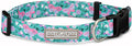 Lucky Love Dog - Adjustable Dog Collar with Easy Click Buckle for Small Dogs, Durable, & Comfortable for Male & Female Dogs, Pet Collar for Puppies & Adult Ones - Mariposa, Small