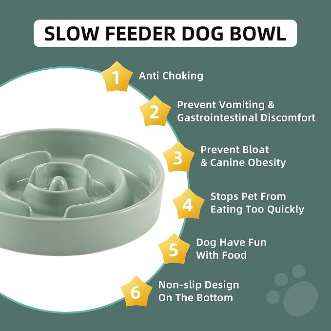 Havniva Slow Feeder Dog Bowls, Ceramic Dog Bowl Slow Feeder for Fast Eater | 1.6 Cups Puzzle Dog Food Bowl, Slow Feeding Bowls for Medium Dogs, Non-Slip Rubber Base, Anti-Choking