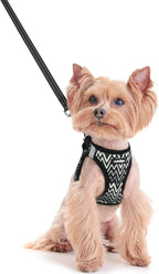 rabbitgoo Dog Harness Small Sized and Leash Set, Step-in Puppy Pet Vest | Light, Soft, Breathable Air Mesh, Easy on and Remove with Hook & Loop, Secure Reflective for Walking, Black Zigzag XXS