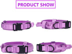 Tactical Dog Collar and Leash Set for Large Dogs with Control Handle,Purple | 1000D Heavy-Duty Nylon Fabric,Quick-Release Metal Buckle,Adjustable Fit,Soft-Padded Webbing,D-Ring,for Training & Hiking,XXL