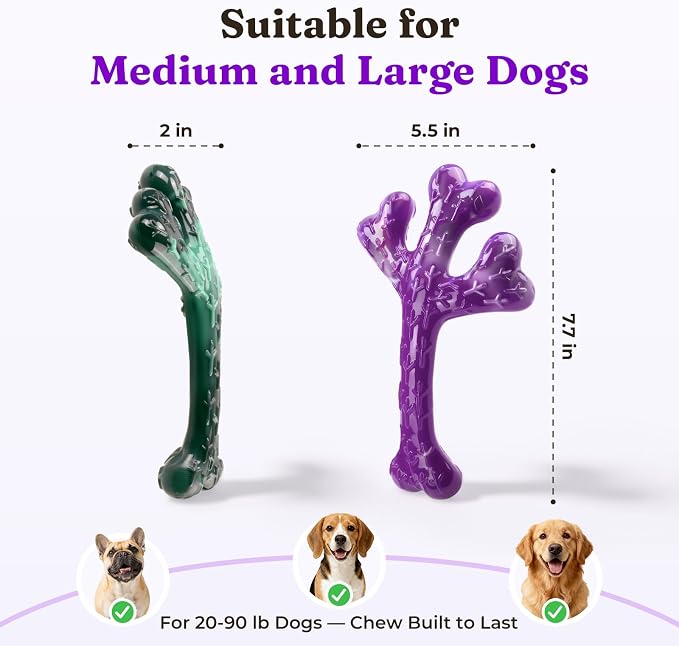 Frienhund 2-Pack Indestructible Dog Chew Toys for Aggressive Chewers | Textured Cactus with Grooves for Peanut Butter & Yogurt, Beef Nylon Bones for Large Dogs 20-90 lbs, Easy Chew & Long Lasting