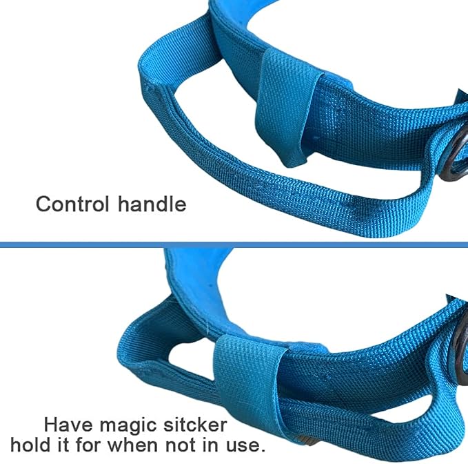 Tactical Dog Collar for Large Dogs with Control Handle,Blue,XL | 1000D Heavy-Duty Nylon Fabric,Quick-Release Metal Buckle,Adjustable Fit,Soft-Padded Webbing,D-Ring,for Training & Hiking