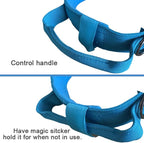 Tactical Dog Collar and Leash Set Adjustable Military Nylon Dog Collar with Control Handle and Heavy Duty Metal Buckle for Large Dogs（Blue M | 1000D Heavy-Duty Nylon Fabric,Quick-Release Metal Buckle,Adjustable Fit,Soft-Padded Webbing,D-Ring,for Traini...