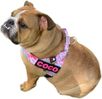 BULLHUG Adjustable Dog Harness– No Pull, No Choke – for English Bulldogs, French Bulldogs, Pugs & Broad-Chested Breeds – Easy, Safe Walks (Pink Floral, Small)