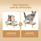 Havniva Elevated Cat Bowls, Ceramic Cat Bowl with Bamboo Stand Wide Opening | 5.7” Raised Cat Food Bowls, Whisker Friendly Cat Dish, Anti-Slip Cat Water Bowls, Shallow Cat Bowls, Cat Food & Water Bowl