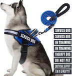 Service Dog Vest Harness and Leash Set, Animire in Training Dog Harness with 10 Dog Patches, Reflective Dog Leash with Handle for Small, Medium, Large, and Extra-Large Dogs (Blue,XL)