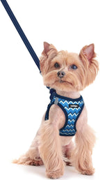 rabbitgoo Dog Harness Small Sized and Leash Set, Step-in Puppy Pet Vest | Light, Soft, Breathable Air Mesh, Easy on and Remove with Hook & Loop, Secure Reflective for Walking, Blue Zigzag XXS