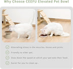 CEEFU 2-Pack Extra Wide Elevated Ceramic 6.2" Shallow Cat Food Bowls | Cat Dish for Whisker Fatigue Relief, 5" Height for Easy Feeding, Durable Raised, Pottery Clay (Not Glazed)