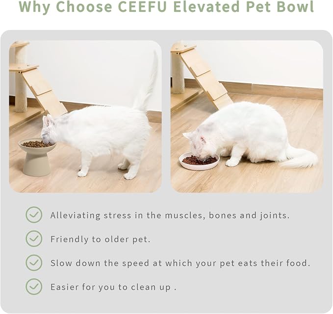 CEEFU 2-Pack Extra Wide Elevated Ceramic 6.2" Shallow Cat Food Bowls | Cat Dish for Whisker Fatigue Relief, 5" Height for Easy Feeding, Durable Raised, Pottery Clay (Not Glazed)