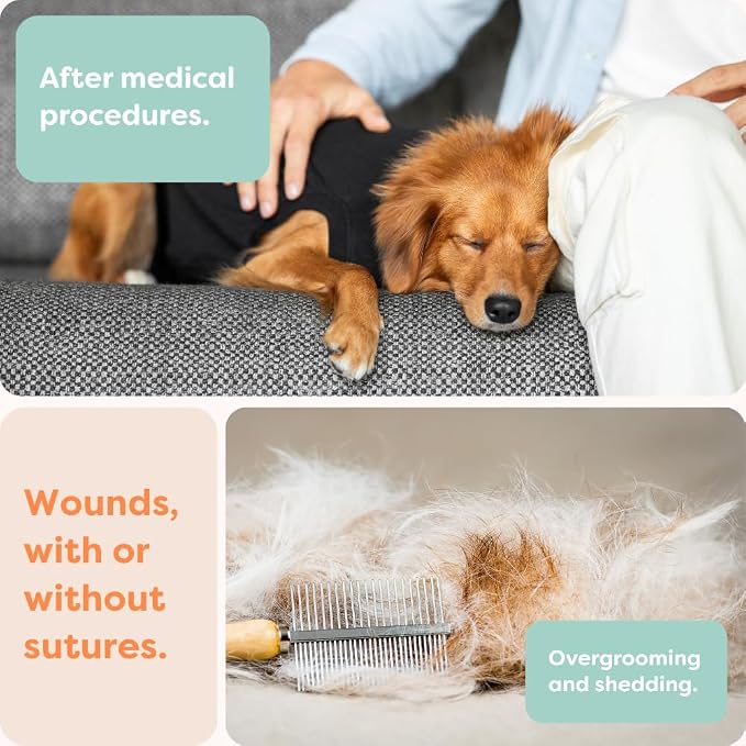 Suitical Recovery Suit for Dogs - Dog Surgery Recovery Suit with Clip-Up System - Breathable Fabric for Spay, Neuter, Skin Conditions, Incontinence - XXL, Black