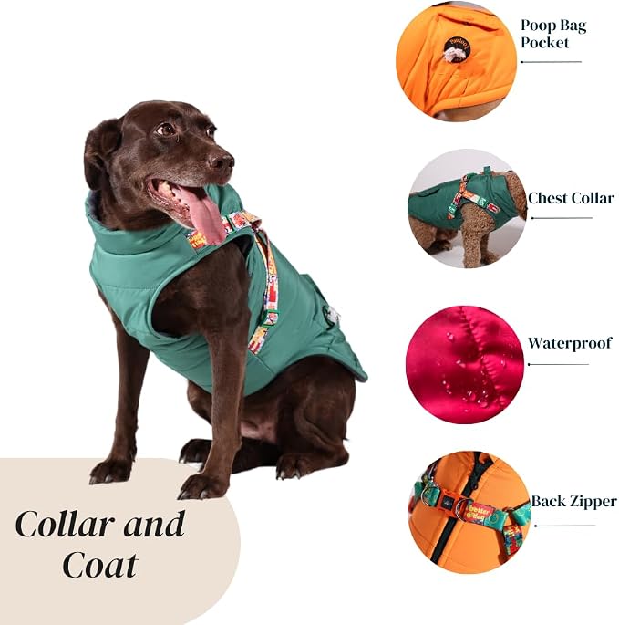 Generic Pawlook Dog Raincoat with Chest Leash and Collar, Reusable Waterproof Pet Coat for Small Dogs, Medium Dogs, Large Dogs (Green, X-Large)