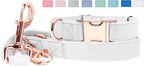 Soft Leather Dog Collar and Leash (6.6') Set - Stylish Rose Gold Heavy Duty Metal Buckle, 4 Adjustable Lengths Leash for Small Medium Large Dogs - Comfortable & Easy to Clean White XS(8"-12")