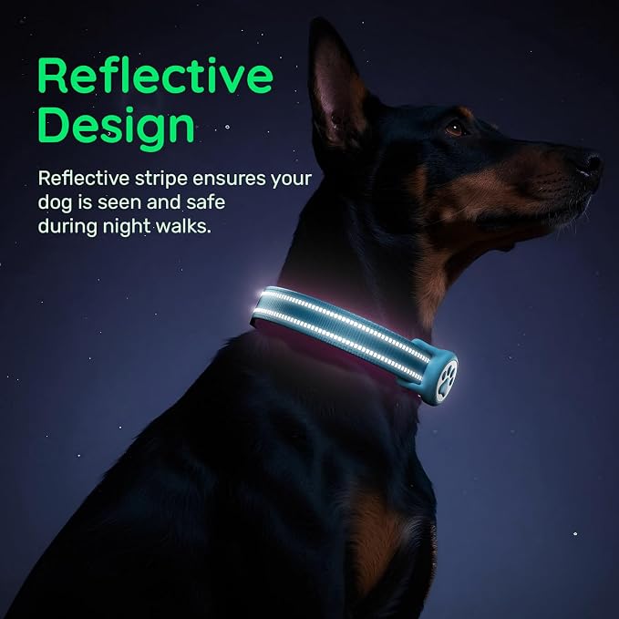 Airtag Dog Collar, Reflective Ultra-Durable Nylon Padded with QR Code Buckle & IP68 Waterproof Air Tag Holder Compatible for Apple AirTag, Comfortable for Small Medium Large Dogs(Blue,S)
