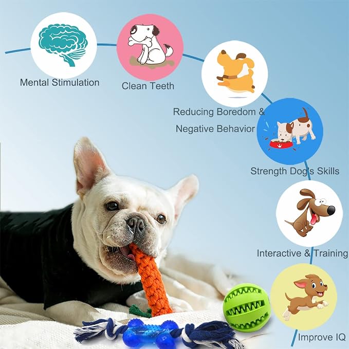Beiker Dog Teething Chew Toys - 15 Pack Small Medium Breed Puppy Toy, Variety Dogs Rope Chew Toys Bundle for Boredom, Pet Interactive Squeaky Treat Dispensing Ball for Puppies