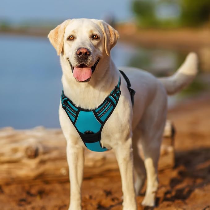 rabbitgoo Dog Harness, No Pull for Large Dogs with 2 Leash Clips, Pet Vest | No Choke, Adjustable, Breathable Padded, 2 Lead Rings, Reflective, Easy Control for Walking Training, XL, Teal