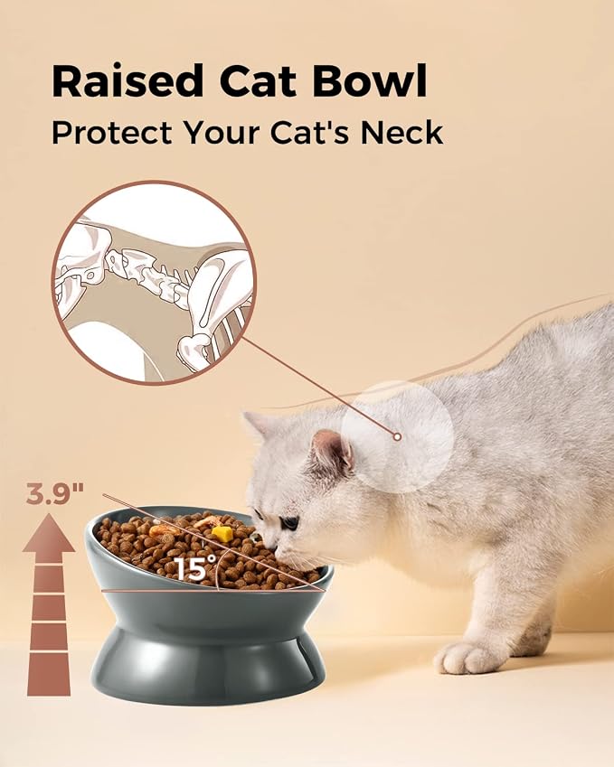 LoeJan Elevated Cat Food Bowl, 5 Oz Ceramic Raised and Tilted Water Bowl, Anti Vomiting and Protect Pets' Spines Dishes for Small Dog, Fat Faced Cat, Kitten (Gray, 1 Pack)