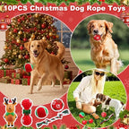 Soulchen 11 Pcs Christmas Dog Toys Stocking Gift Interactive Toy - Image 2