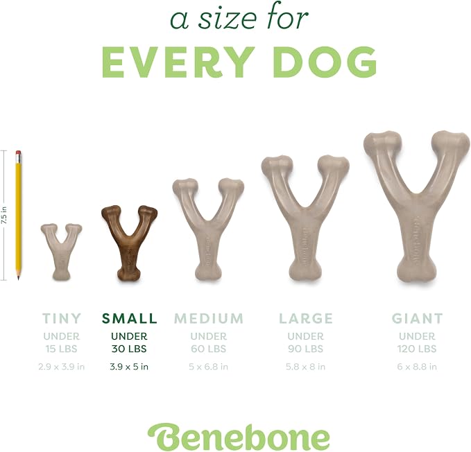 Benebone 2-Pack Wishbone Chew Toy for Aggressive Chewers, Real Bacon, Small