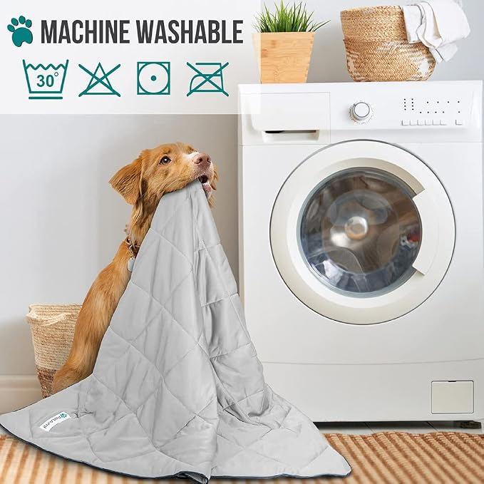 PetAmi Premium Cooling Dog Blanket | Lightweight Fluffy Pet Throw Blanket Bed Cover for Dogs, Cat, Puppies | Pet Blanket Furniture Protector Couch Sofa | Reversible Fuzzy Cozy | 60x80, Light Grey