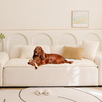 Mitid Sofa Cover Fuzzy Couch Cover for Pet, Couch Covers for Dogs Pets Mat | Washable Non-Slip Sofa Slipcover Cushion Protector Pets Friendly Mat, Dog Couch Cover, Square Couch Covers for Dogs Non Skid