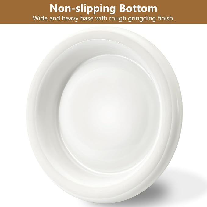 Ant Proof No Spill Ceramic Cat Food Bowls,15° Tilted Neck Support,No Spill,Non-Slip Base,Easy Clean Pet Water Dishes for Cat and Small Dog Indoor or Outdoor Use(2 Pack)