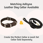 ADITYNA 6ft Leather Dog Leash with Traffic Handle for Extra-Large Dogs | Heavy-duty braided leather leash, 1" width x 6ft, Double handle for extra control, ideal for training & busy sidewalks.