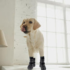 EXPAWLORER 6PCS Anti-Slip Dog Socks to Prevent Licking Paws,Dog Shoes for Hot Pavement,Best Paw Protector Traction Control on Hardwood Floor,Dog Booties for Puppy Small Medium Large Senior Dogs