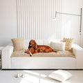 Mitid Sofa Cover Fuzzy Couch Cover for Pet, Couch Covers for Dogs Pets Mat | Washable Non-Slip Sofa Slipcover Cushion Protector Pets Friendly Mat, Dog Couch Cover, Square Couch Covers for Dogs Non Skid