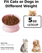 LoeJan Elevated Cat Food Bowl, 5 Oz Ceramic Raised and Tilted Water Bowl, Anti Vomiting and Protect Pets' Spines Dishes for Small Dog, Fat Faced Cat, Kitten (Pink, 1 Pack)