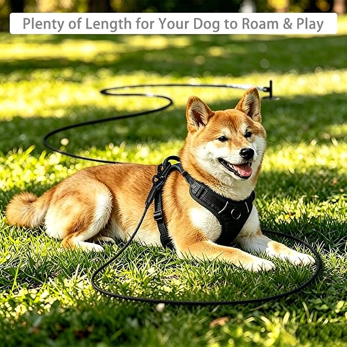 Dog Tie Out Cable - Chew Proof Steel Wire Lead - 360° Tangle Free Outdoor Leash for Pups - Dog Runner Cable for Small to Medium Dogs (Black, 45lbs/30ft)