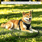 Dog Tie Out Cable - Chew Proof Steel Wire Lead - 360° Tangle Free Outdoor Leash for Pups - Dog Runner Cable for Small to Medium Dogs (Black, 45lbs/30ft)