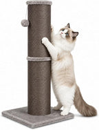 Cat Scratching Post with 5.5 Inch Diameter Sisal Post, 32 Inch, Grey | Extra-Wide Scratch Post, Wide Stable Base, Ideal Scratcher for Indoor Cats Adults to Stretch and Protect Furniture