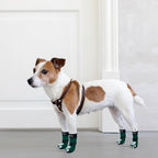 PUPTECK Anti-Slip Dog Socks with Double Sides Grips for Small Medium Large Dogs Hardwood Floors Prevents Licking, Dog Shoes for Hot Pavement Traction Control for Senior Dogs, Dark Green, S
