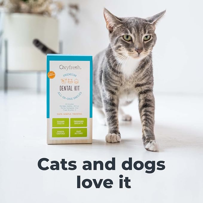 Oxyfresh Premium Pet Dental Kit for Dogs & Cats – Easiest Breath Freshener & Teeth Cleaning Solution for Fresh Breath, Clean Teeth, Plaque & Tartar Control – 1oz Toothpaste + 3oz Water Additive