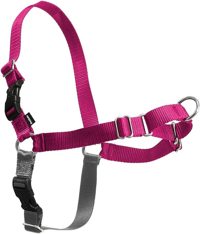 PetSafe Easy Walk Harness for Dogs - Pull-Free Walks - Patented Martingale Loop Design - Front Chest Leash Attachment - Comfort Straps - Breathable Harness Design - Large, Raspberry/Gray