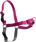 PetSafe Easy Walk Harness for Dogs - Pull-Free Walks - Patented Martingale Loop Design - Front Chest Leash Attachment - Comfort Straps - Breathable Harness Design - Large, Raspberry/Gray