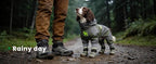 Dog Shoes for Hot Pavement - Comfortable Paw Protection for Medium & Large Dogs, Adjustable Strap & Non-Slip, Easy-Clean, Outdoor Sports Boots, Dog Booties for Summer Rain (Camouflage, M)