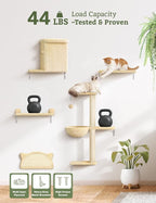 5-in-1 Cat Wall Shelves, Solid Wood Cat Wall Furniture Set for Indoor Cats | 44 lb per Shelf, 72-Hour Load Tested, Pre-Drilled, Fits 16 in. Stud Drywall & Solid Walls, for Small to Medium Cats