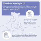 MiconaHex+Triz Shampoo for Dogs, Cats and Horses, Gallon | Antibiofilm, Moisturizing; Packaging May Vary
